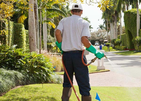About Letohatchee AL Pest Control